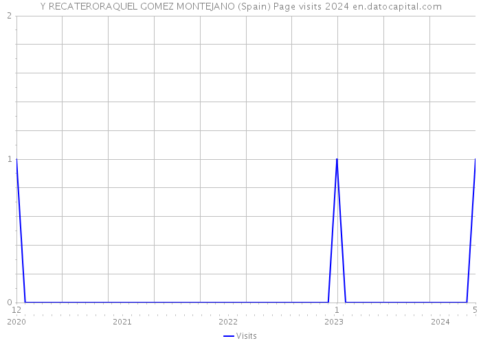 Y RECATERORAQUEL GOMEZ MONTEJANO (Spain) Page visits 2024 