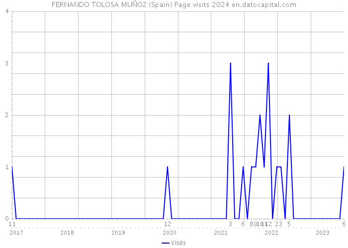 FERNANDO TOLOSA MUÑOZ (Spain) Page visits 2024 
