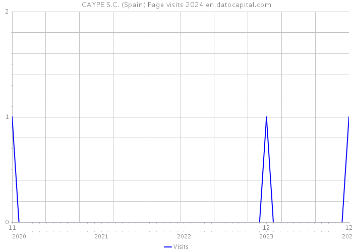 CAYPE S.C. (Spain) Page visits 2024 