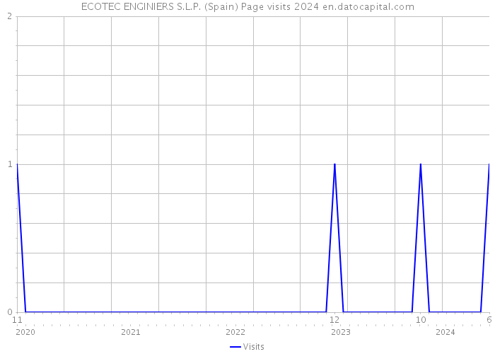 ECOTEC ENGINIERS S.L.P. (Spain) Page visits 2024 