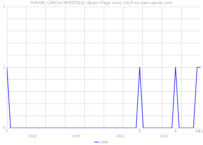 RAFAEL GARCIA MONTOLIU (Spain) Page visits 2024 