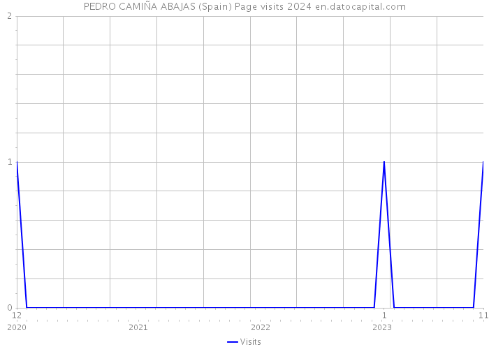 PEDRO CAMIÑA ABAJAS (Spain) Page visits 2024 