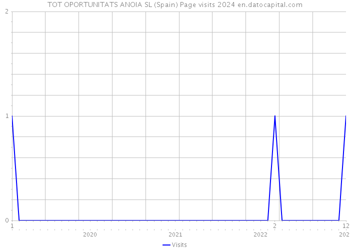 TOT OPORTUNITATS ANOIA SL (Spain) Page visits 2024 