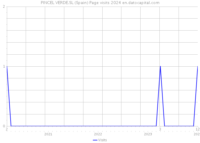 PINCEL VERDE.SL (Spain) Page visits 2024 