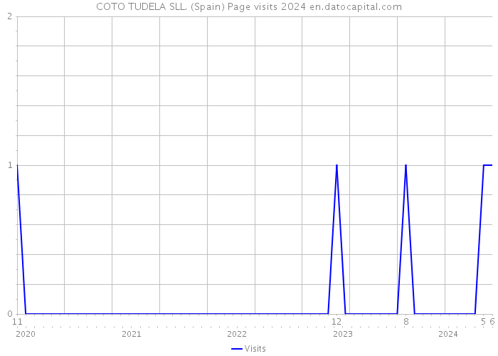 COTO TUDELA SLL. (Spain) Page visits 2024 