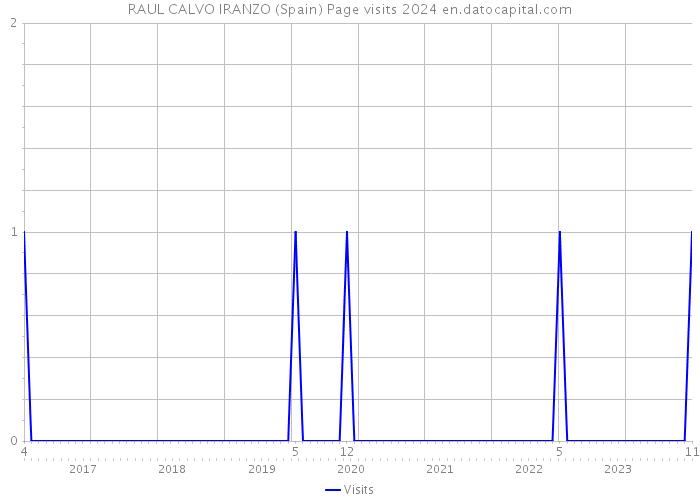 RAUL CALVO IRANZO (Spain) Page visits 2024 