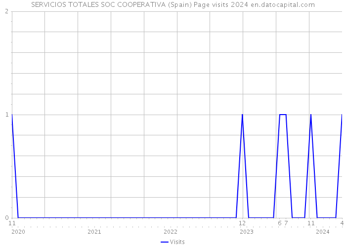 SERVICIOS TOTALES SOC COOPERATIVA (Spain) Page visits 2024 