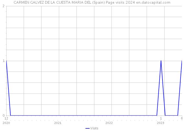 CARMEN GALVEZ DE LA CUESTA MARIA DEL (Spain) Page visits 2024 