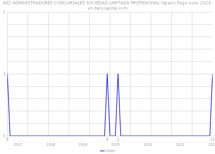 AE2 ADMINISTRADORES CONCURSALES SOCIEDAD LIMITADA PROFESIONAL (Spain) Page visits 2024 