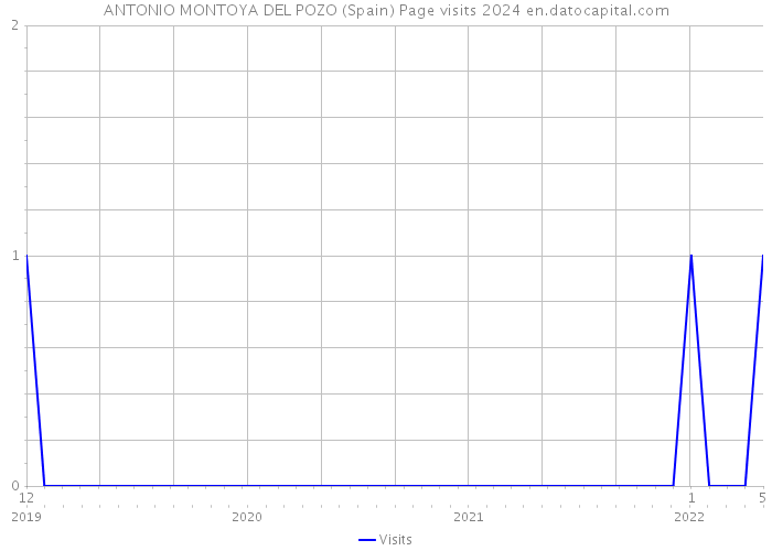 ANTONIO MONTOYA DEL POZO (Spain) Page visits 2024 