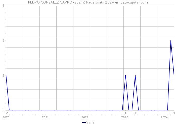 PEDRO GONZALEZ CARRO (Spain) Page visits 2024 