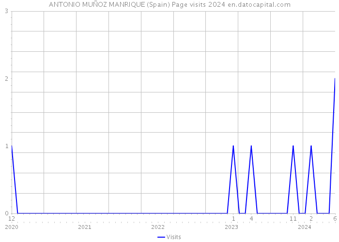 ANTONIO MUÑOZ MANRIQUE (Spain) Page visits 2024 