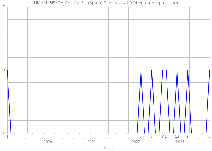 UMAMI BEACH CALVIA SL. (Spain) Page visits 2024 