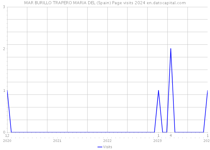 MAR BURILLO TRAPERO MARIA DEL (Spain) Page visits 2024 