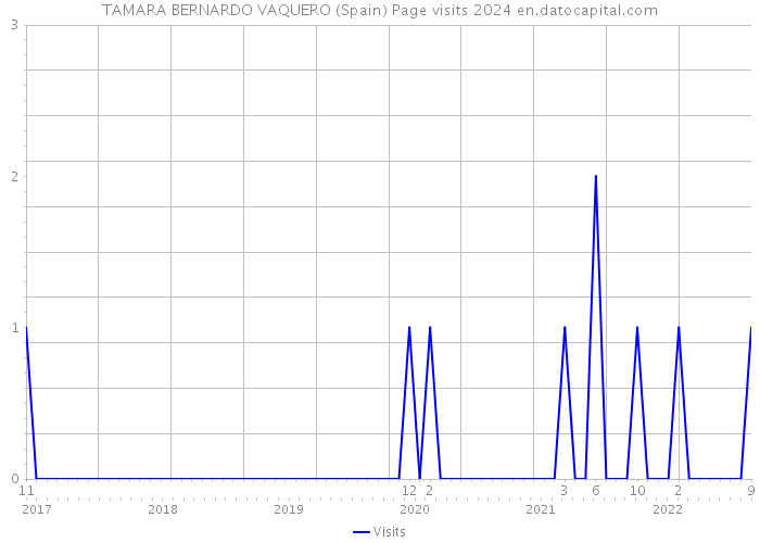 TAMARA BERNARDO VAQUERO (Spain) Page visits 2024 