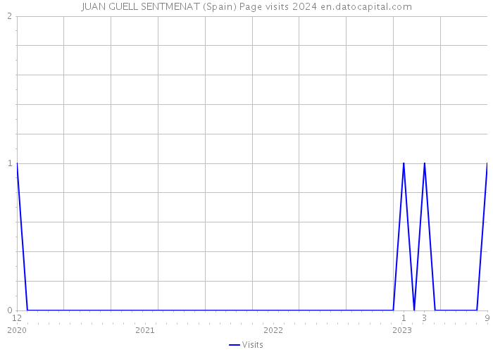 JUAN GUELL SENTMENAT (Spain) Page visits 2024 