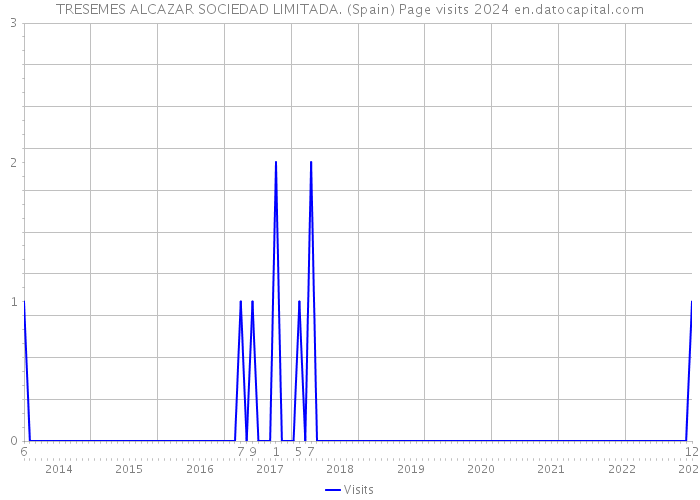 TRESEMES ALCAZAR SOCIEDAD LIMITADA. (Spain) Page visits 2024 