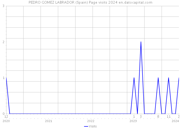 PEDRO GOMEZ LABRADOR (Spain) Page visits 2024 