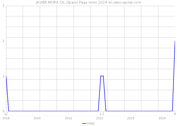 JAVIER MORA GIL (Spain) Page visits 2024 