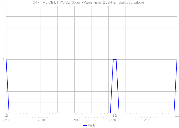 CAPITAL OBJETIVO SL (Spain) Page visits 2024 