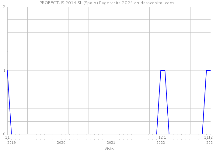 PROFECTUS 2014 SL (Spain) Page visits 2024 