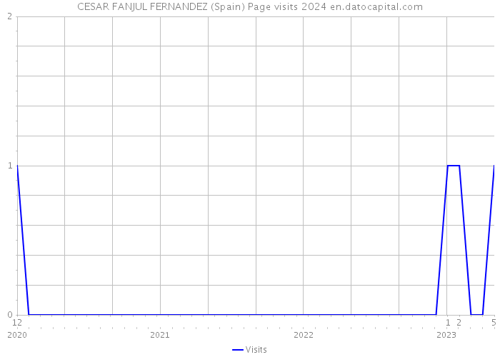 CESAR FANJUL FERNANDEZ (Spain) Page visits 2024 