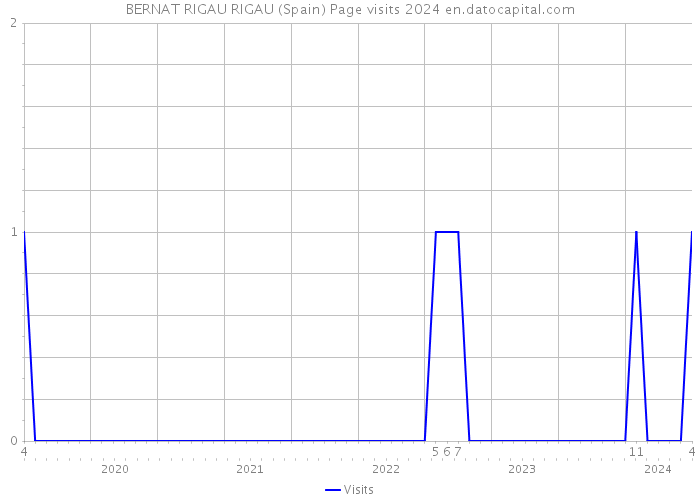 BERNAT RIGAU RIGAU (Spain) Page visits 2024 