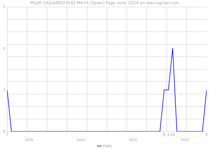 PILAR GALLARDO RUIZ MAYA (Spain) Page visits 2024 