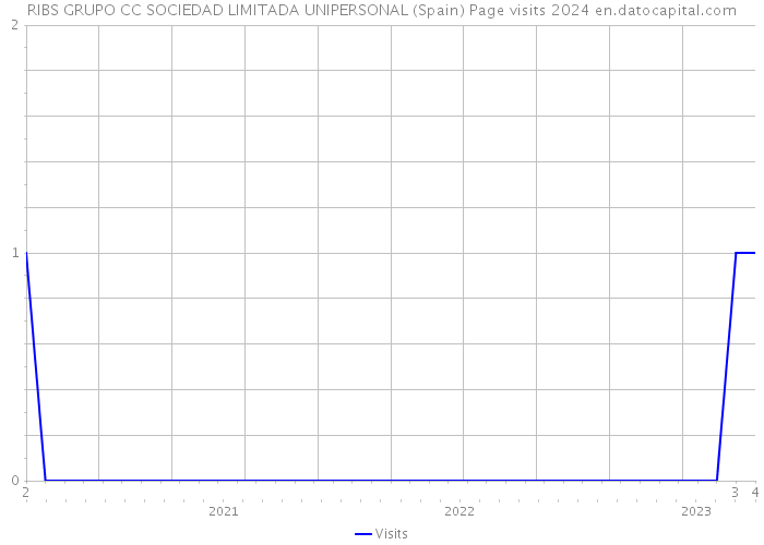 RIBS GRUPO CC SOCIEDAD LIMITADA UNIPERSONAL (Spain) Page visits 2024 