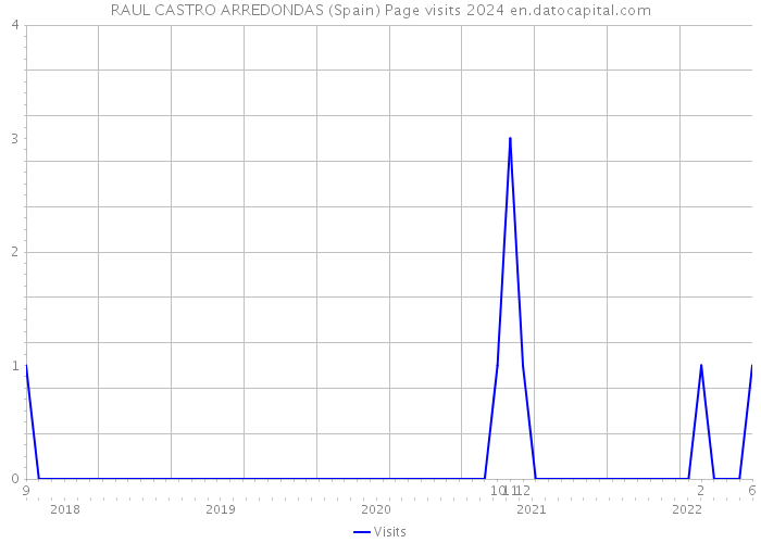 RAUL CASTRO ARREDONDAS (Spain) Page visits 2024 