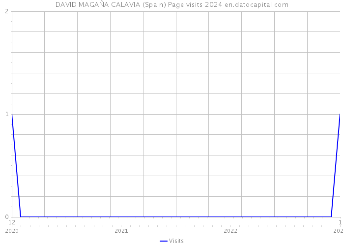 DAVID MAGAÑA CALAVIA (Spain) Page visits 2024 
