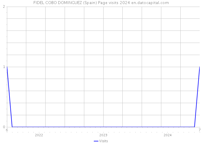 FIDEL COBO DOMINGUEZ (Spain) Page visits 2024 