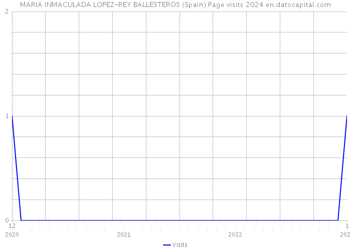 MARIA INMACULADA LOPEZ-REY BALLESTEROS (Spain) Page visits 2024 