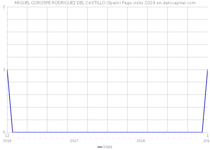 MIGUEL GOROSPE RODRIGUEZ DEL CASTILLO (Spain) Page visits 2024 