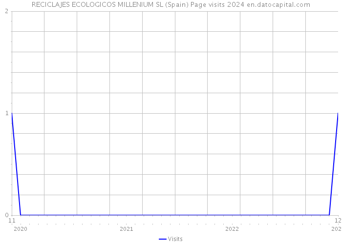 RECICLAJES ECOLOGICOS MILLENIUM SL (Spain) Page visits 2024 