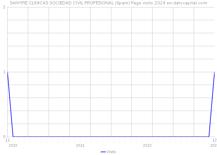 SANYPIE CLINICAS SOCIEDAD CIVIL PROFESIONAL (Spain) Page visits 2024 