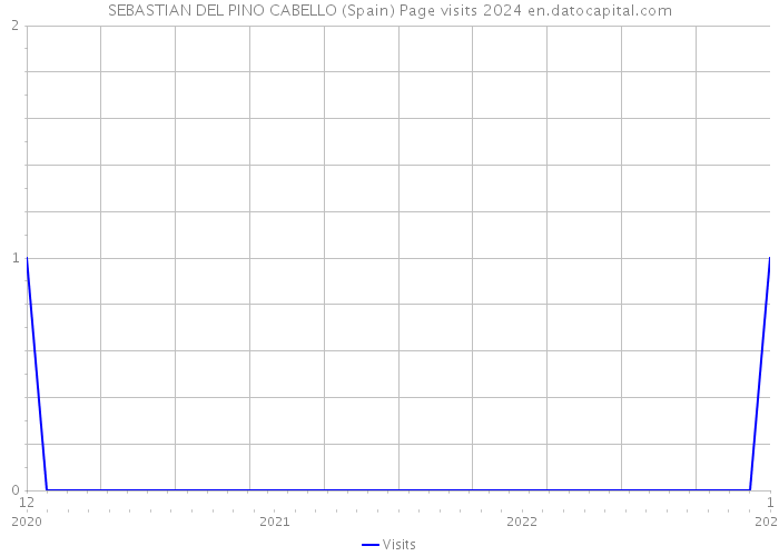 SEBASTIAN DEL PINO CABELLO (Spain) Page visits 2024 