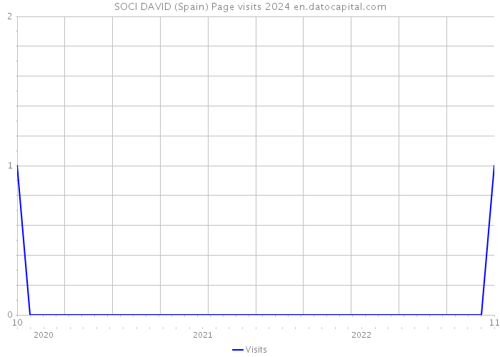 SOCI DAVID (Spain) Page visits 2024 