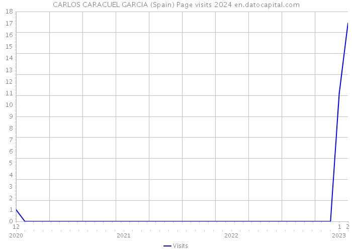 CARLOS CARACUEL GARCIA (Spain) Page visits 2024 