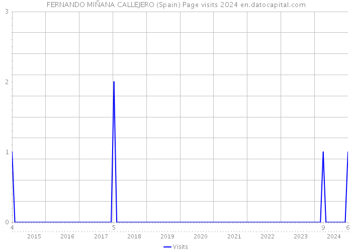 FERNANDO MIÑANA CALLEJERO (Spain) Page visits 2024 