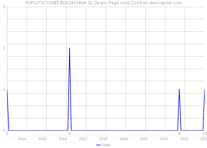EXPLOTACIONES BOLGACHINA SL (Spain) Page visits 2024 