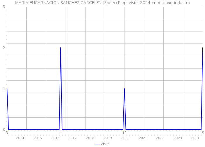 MARIA ENCARNACION SANCHEZ CARCELEN (Spain) Page visits 2024 