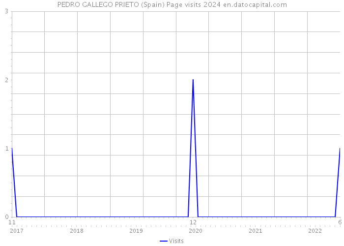 PEDRO GALLEGO PRIETO (Spain) Page visits 2024 