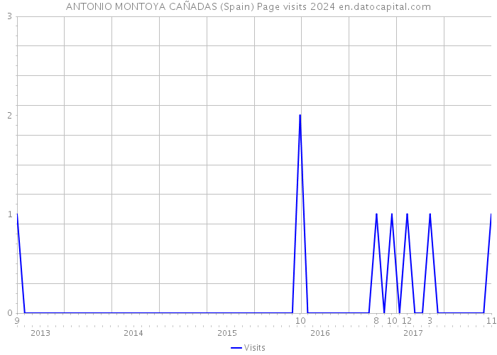 ANTONIO MONTOYA CAÑADAS (Spain) Page visits 2024 