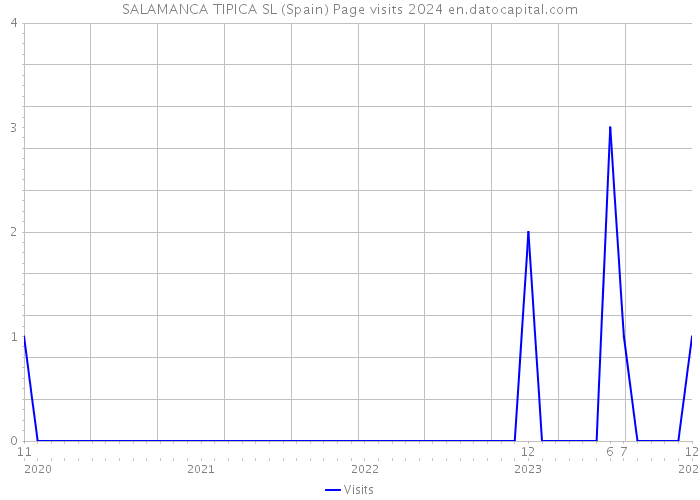 SALAMANCA TIPICA SL (Spain) Page visits 2024 