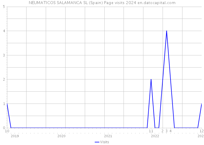 NEUMATICOS SALAMANCA SL (Spain) Page visits 2024 