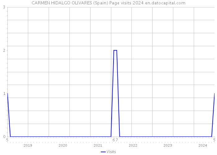 CARMEN HIDALGO OLIVARES (Spain) Page visits 2024 
