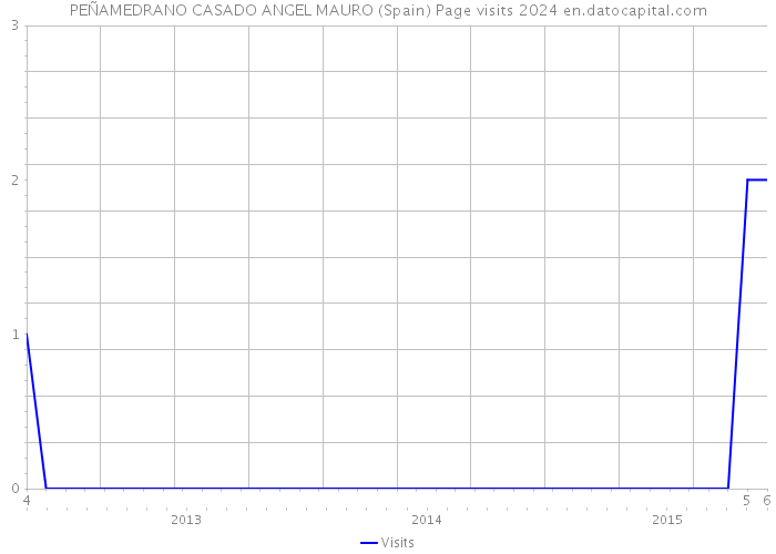 PEÑAMEDRANO CASADO ANGEL MAURO (Spain) Page visits 2024 