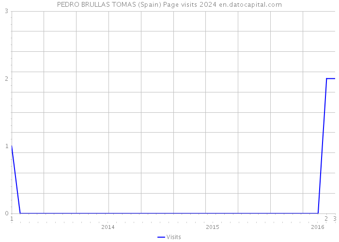 PEDRO BRULLAS TOMAS (Spain) Page visits 2024 