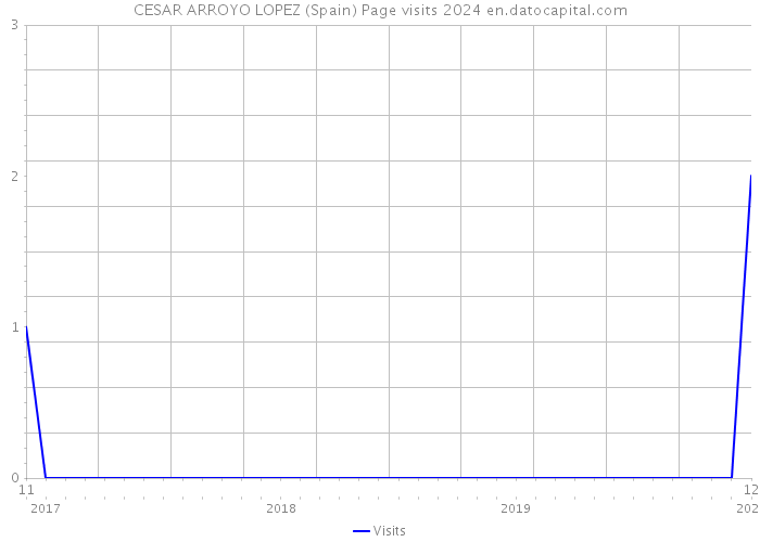 CESAR ARROYO LOPEZ (Spain) Page visits 2024 